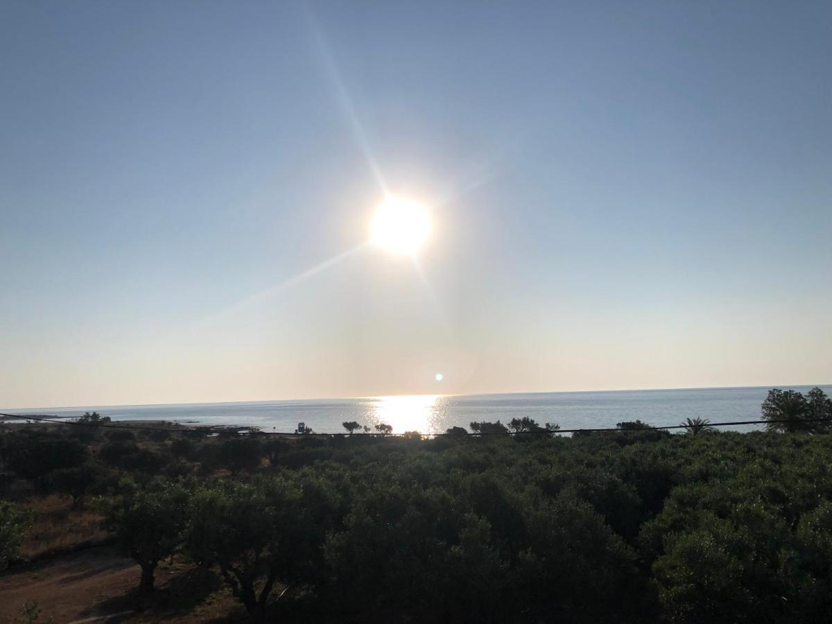 Anika Tatil Evi *