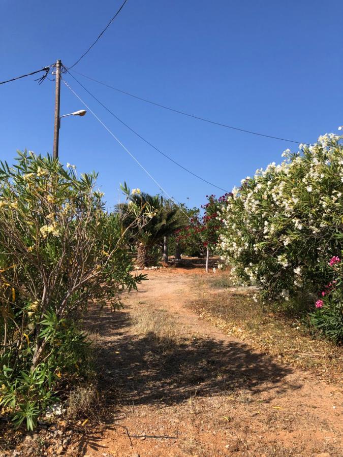 Anika Tatil Evi