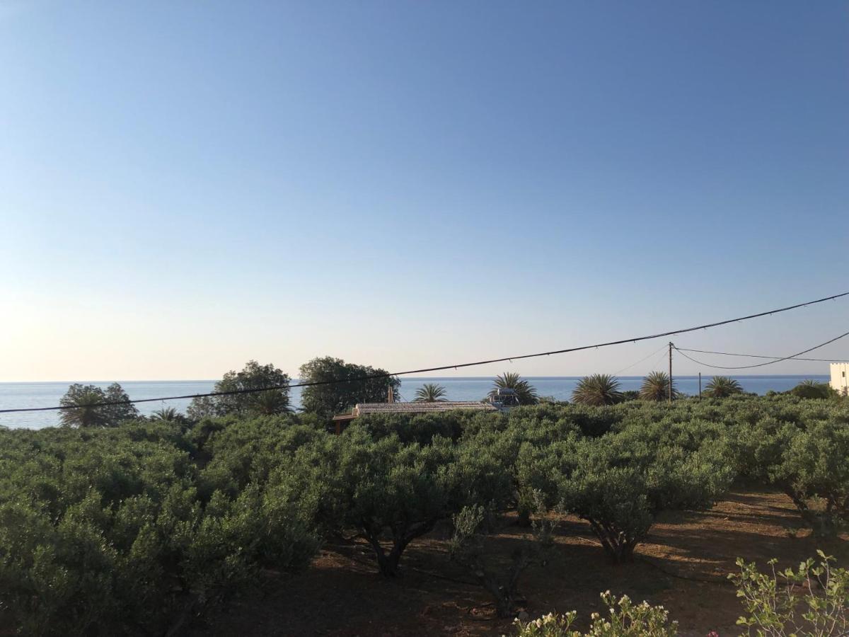 Anika Holiday home